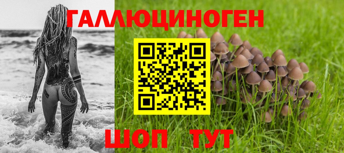 Галлюциногенные грибы MAGIC MUSHROOMS  Елабуга  Галлюциногенные грибы мухоморы 