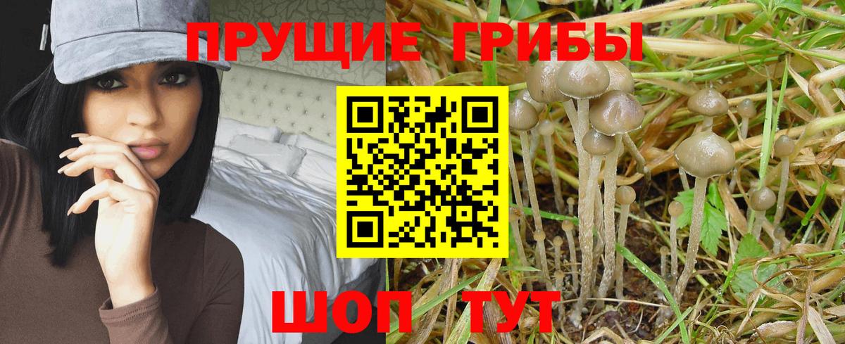 Галлюциногенные грибы GOLDEN TEACHER  Галлюциногенные грибы мухоморы  Вход с VPN  Елабуга 